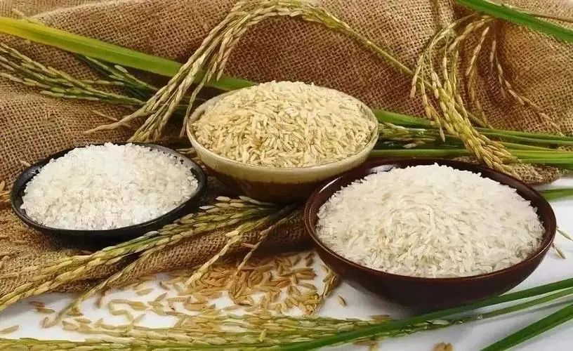 “生物基”“生物降解”分不清？名字相似，其實大不相同