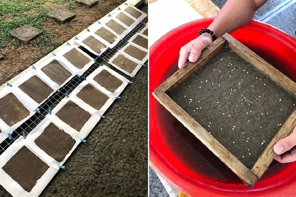 環(huán)保包裝新材料：生物基，純天然降解材料（上）